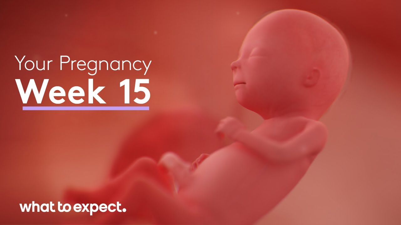 10 Weeks From Today: Date Calculator, Planning Tips, and FAQs